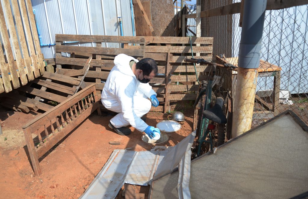 Imagen principal: Operativo medioambiental integral realizó municipio de Viña del Mar en  campamento Felipe Camiroaga