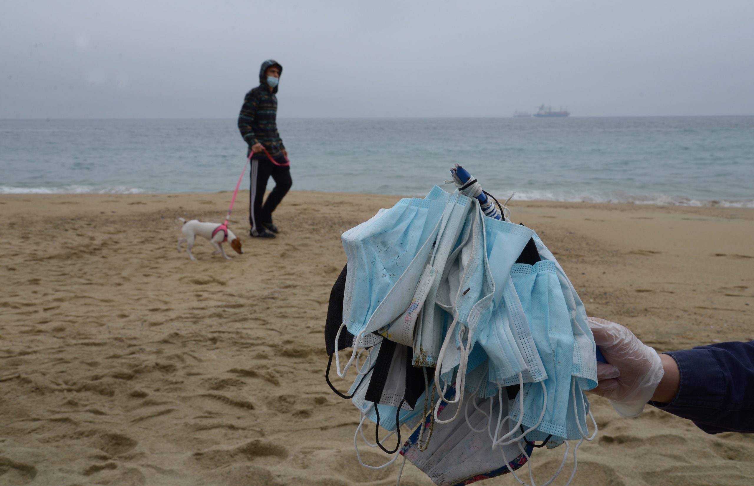 Limpieza de playas: Municipio de Viña del Mar se suma a compromiso para el cuidado de los océanos y costas