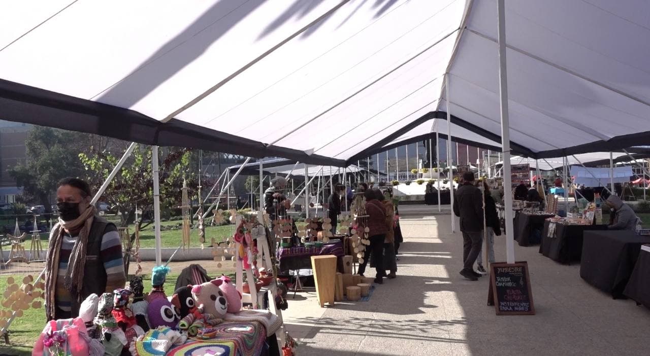 Municipio de Cuidados invita a la comunidad a registrarse en el 1er. catastro de emprendimientos y cooperativas de Viña del Mar