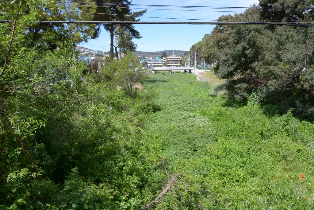 Imagen principal: Municipio de Viña del Mar arremete contra obras del estero de Reñaca que estarían dañando el ecosistema