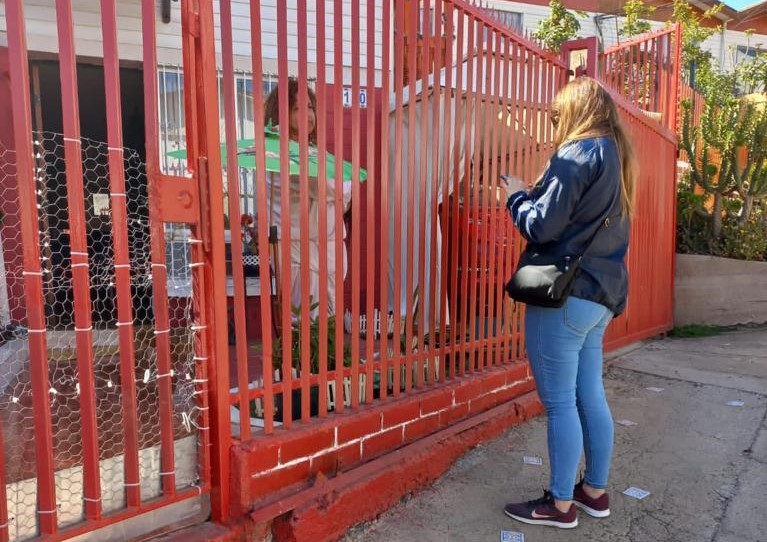 Perros y gatos: Municipio de Viña del Mar participa en el primer estudio nacional de mascotas