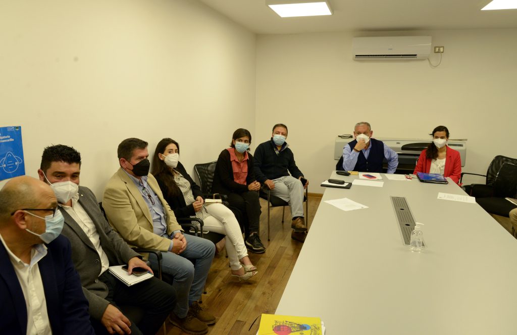 Imagen principal: Alcaldesa Ripamonti establece acciones concretas para solucionar problemas de locomoción y tránsito en Viña