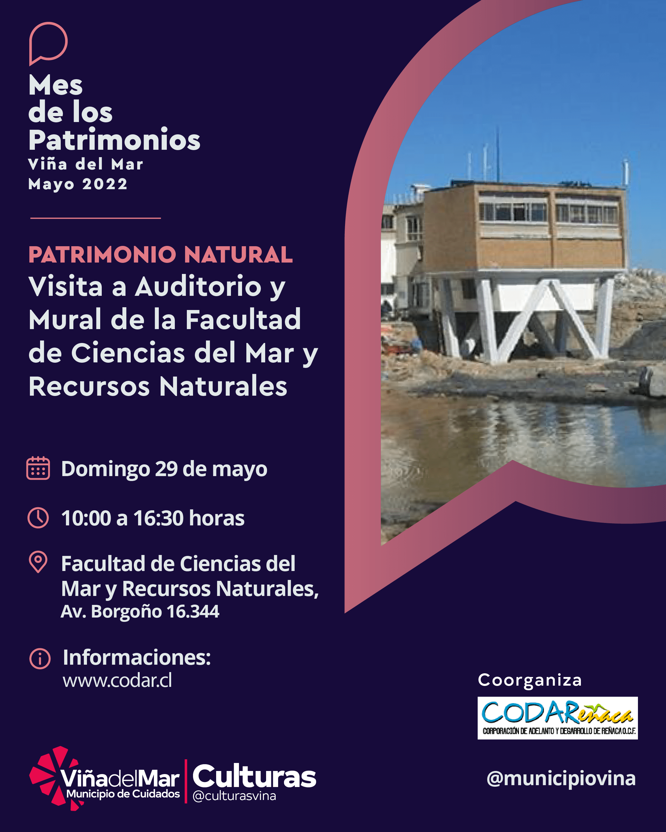 Viña del Mar destaca recorridos que valoran el Patrimonio Natural de Montemar y del estero de Reñaca como humedal
