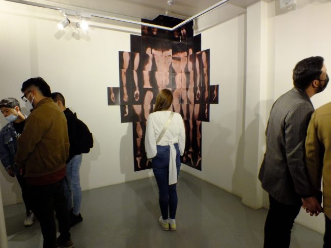 Arte visual, vivencial y sanador presenta “Purga”, la nueva exposición del Museo Palacio Rioja