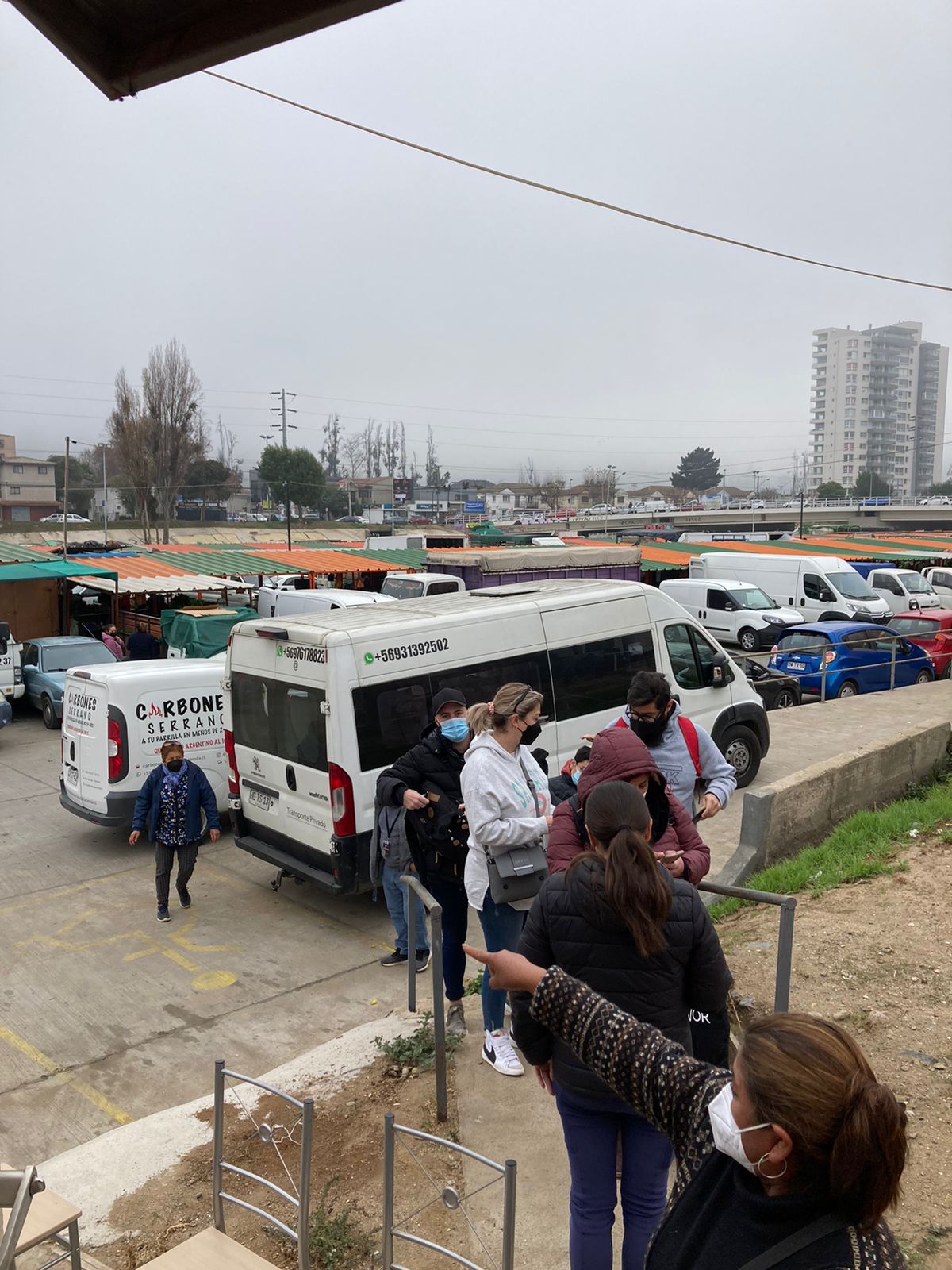 Imagen de galería: VACUNACION 1