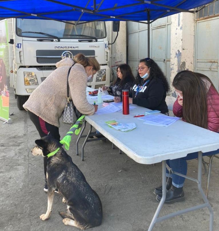 operativo microship 5