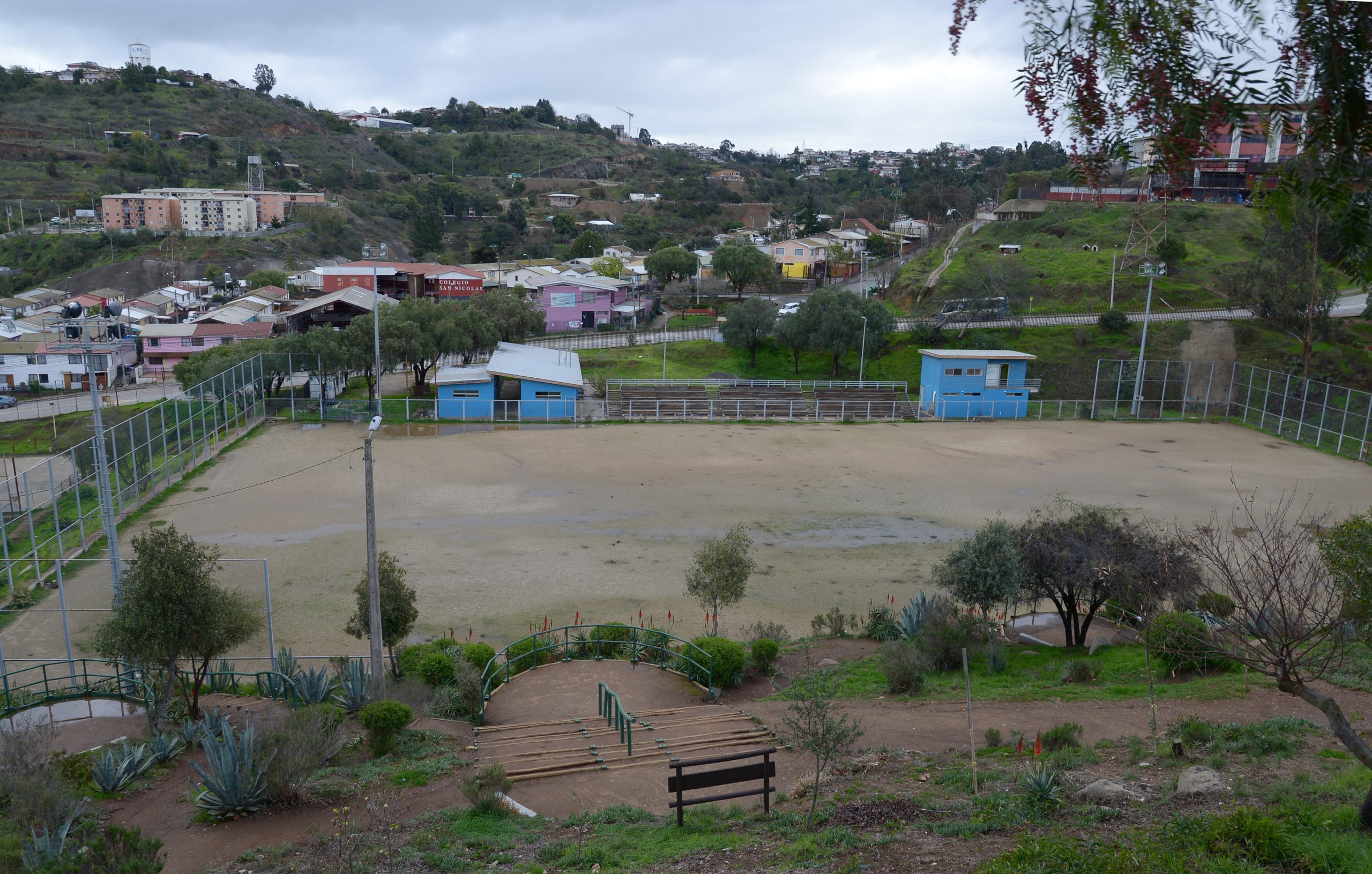 Municipio de Viña avanza en licitación para hacer entrega a la comunidad de cancha El Tamarugal en El Olivar