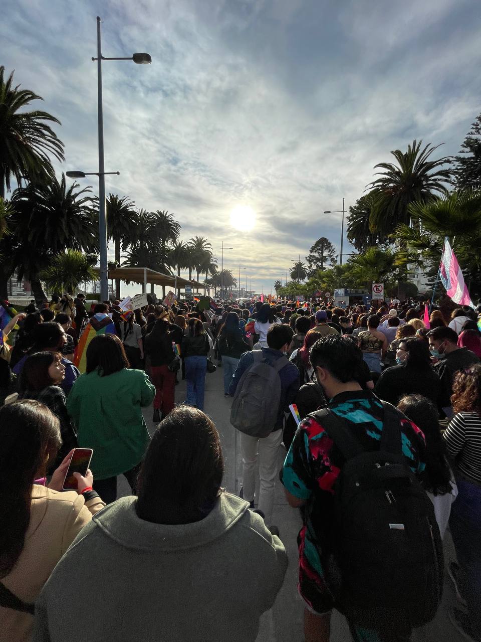 marcha diversidad 3