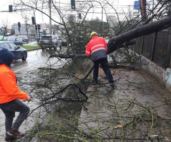 Activo despliegue de los equipos municipales de Viña del Mar para afrontar el sistema frontal