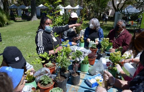 2ª Feria Ambiental de Viña del Mar tendrá su foco en ciudad sustentable,  cambio climático y áreas naturales