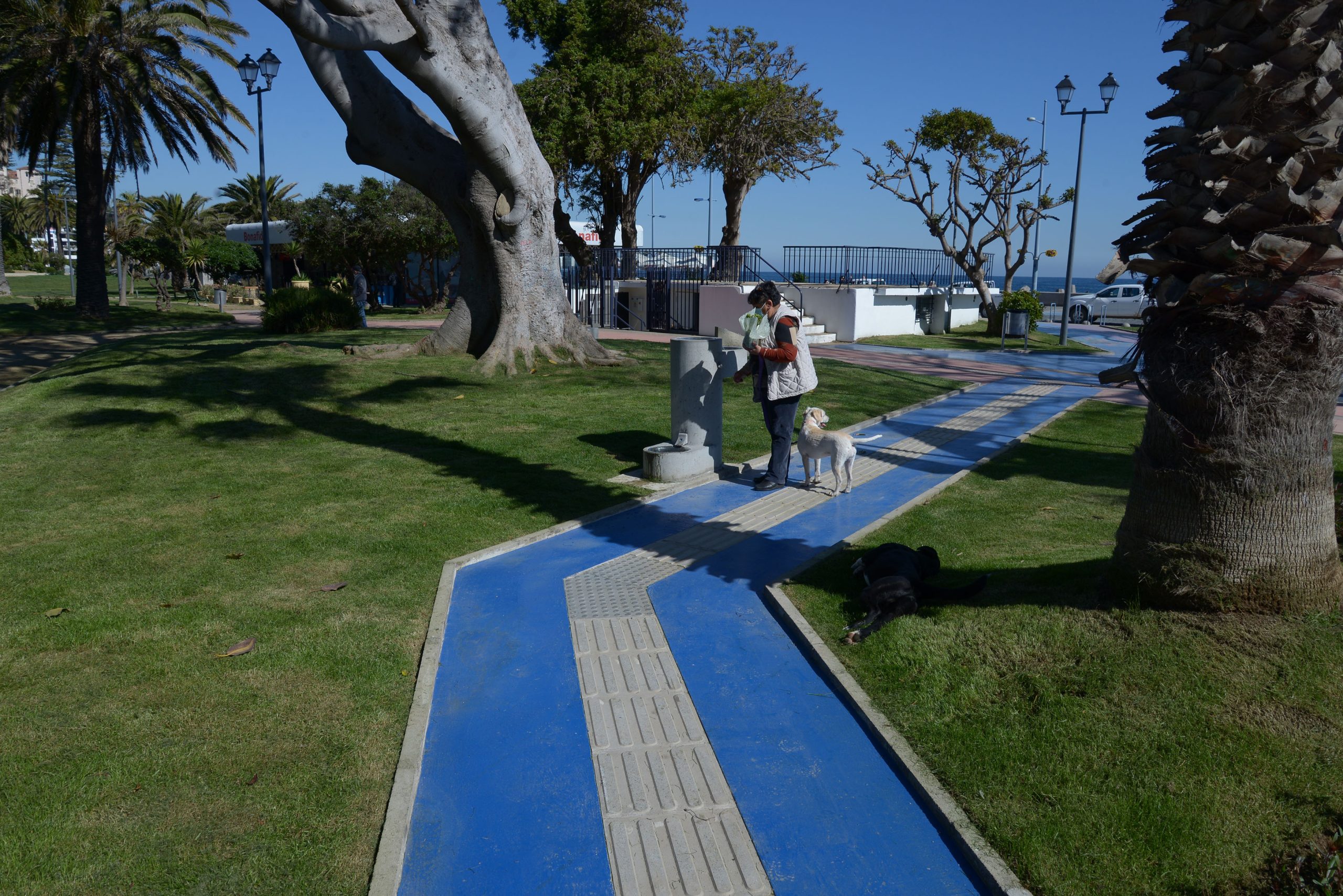 PLAZA COLOMBIA 4