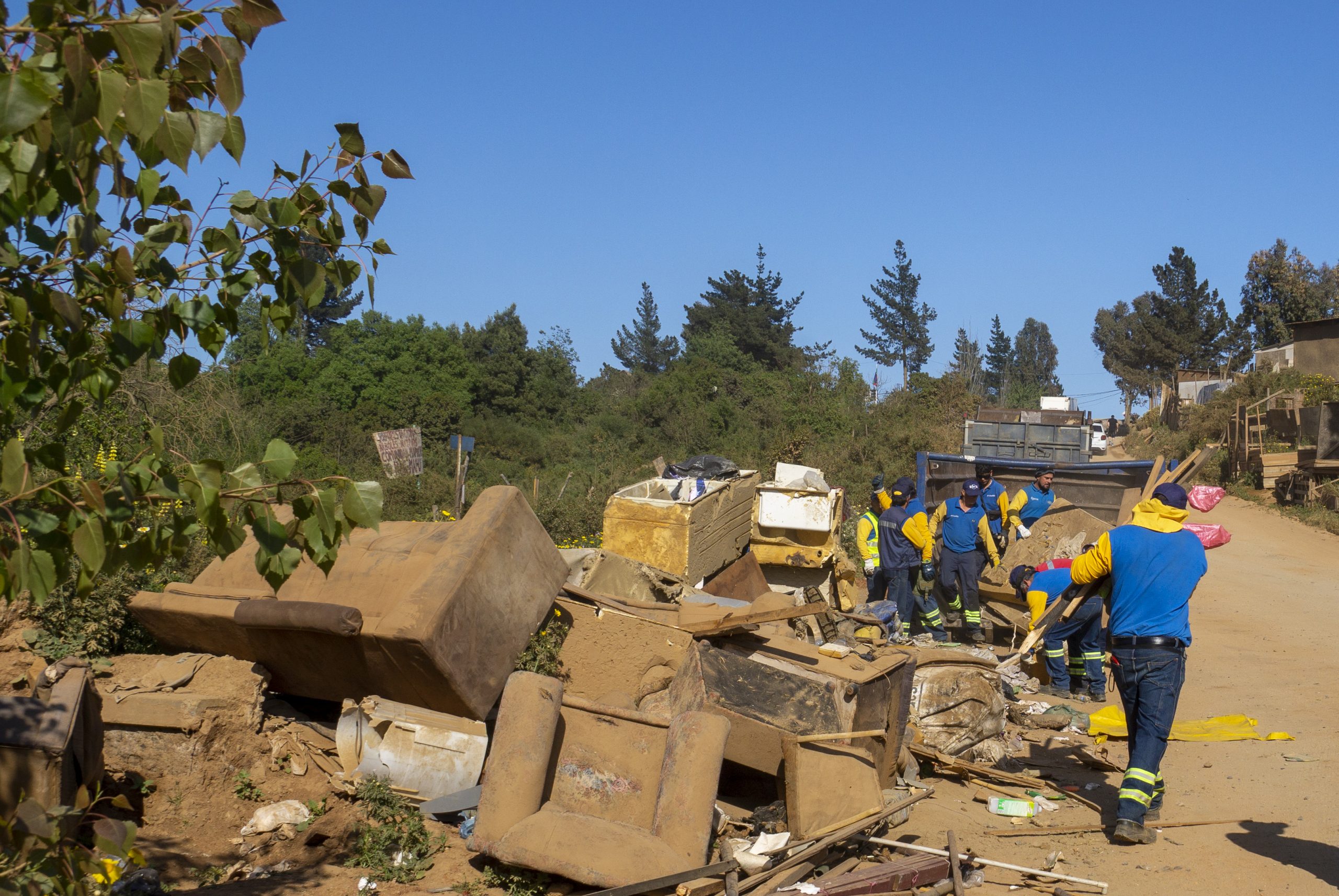 Operativo Limpieza Forestal 2
