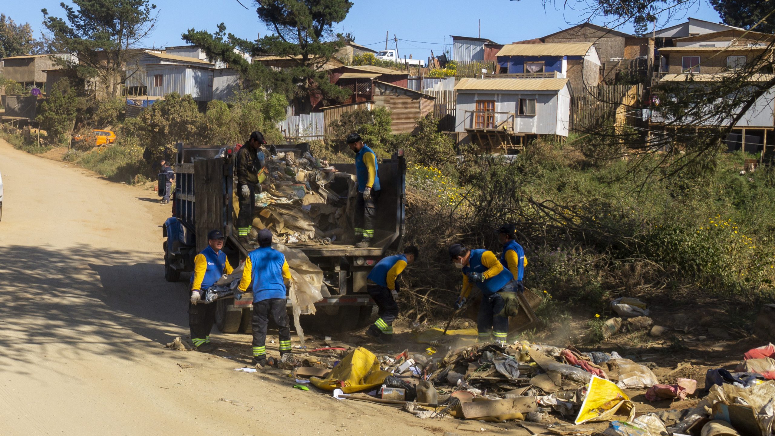 Operativo Limpieza Forestal 4