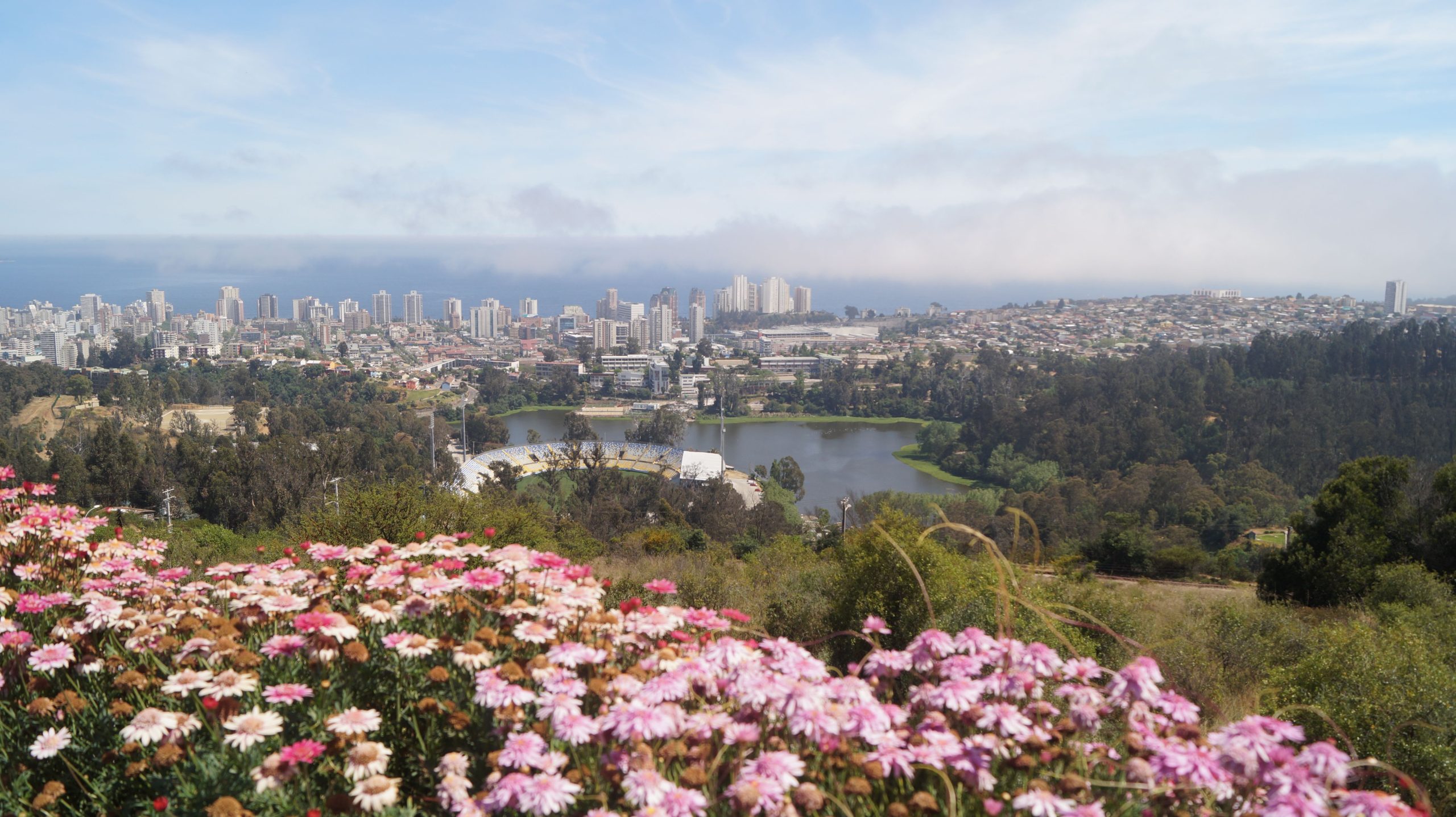 Viña del Mar 3