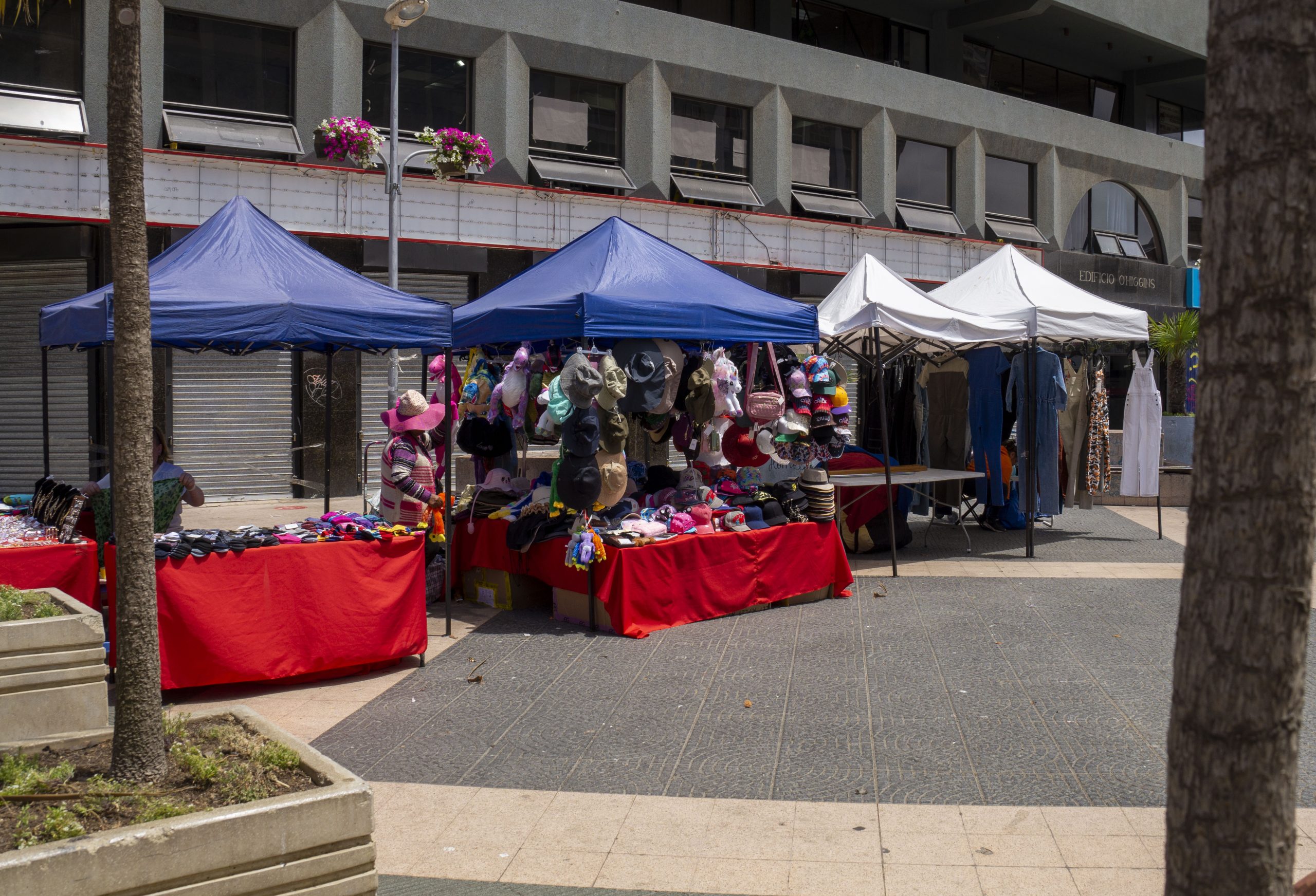 feria navidad p maría l bombal