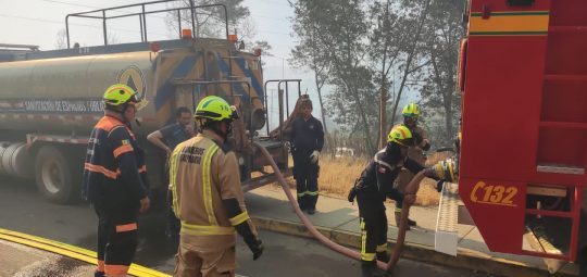 Municipio de Viña del Mar despliega recursos logísticos en apoyo a organismos de emergencia para combatir incendio en Jardín Botánico