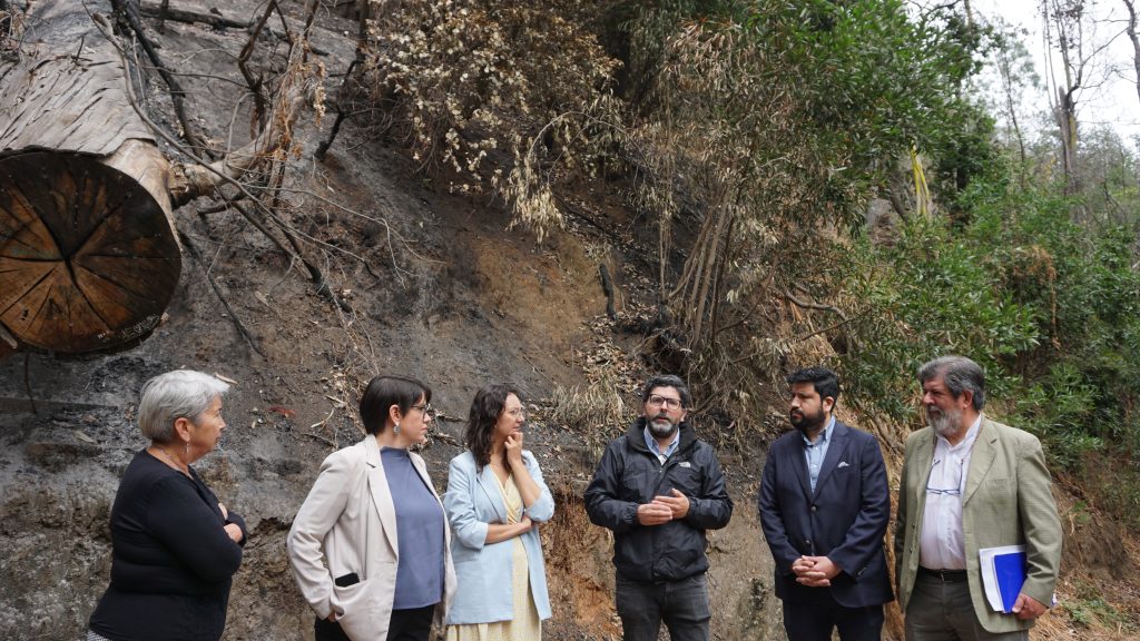 Imagen principal: Ministerio de Culturas y Municipio de Cuidados trabajan en protección del patrimonio cultural y natural de Viña del Mar con construcción de cortafuegos   