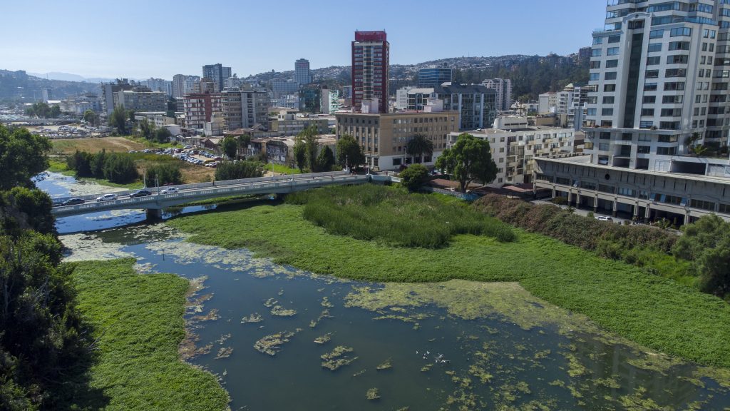Imagen principal: Estero de Viña del Mar: Municipio impulsa proceso de fitorremediación y recuperación de humedal