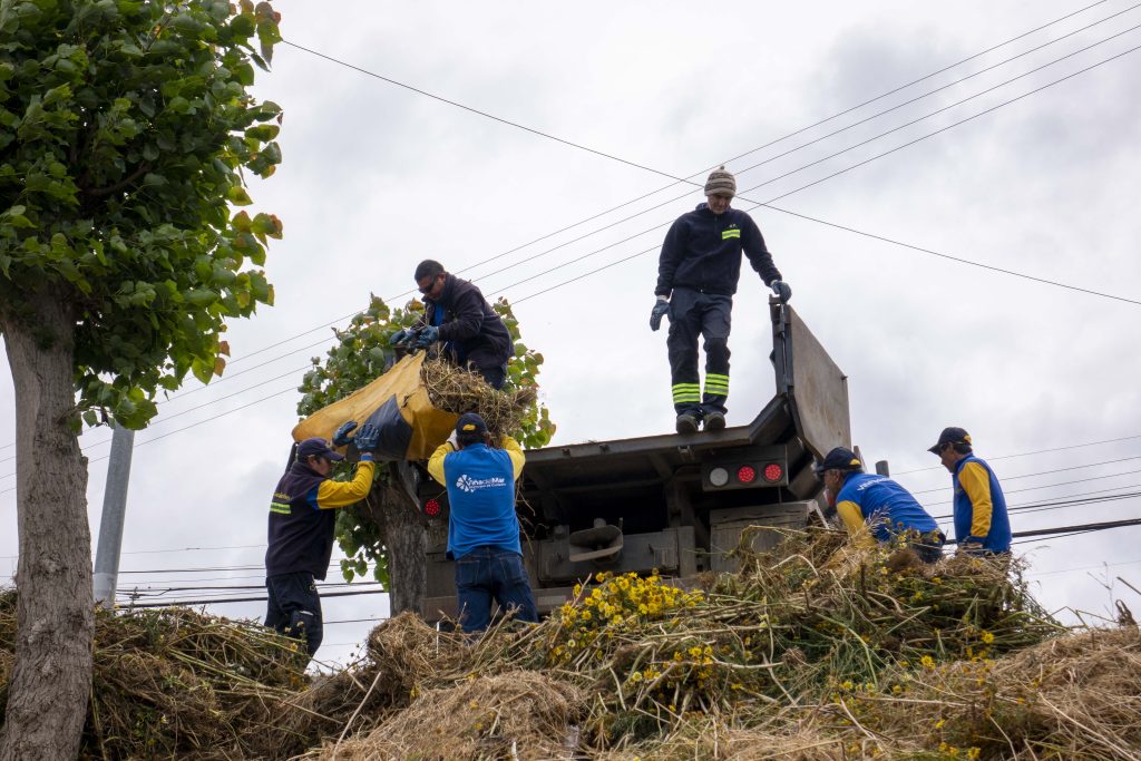 Imagen principal: Plan de recuperación de espacios públicos permite a municipio de Viña del Mar retirar 100 mil kilos de desechos