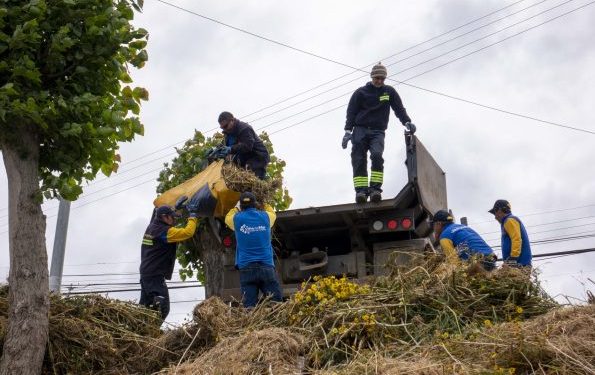 Plan de recuperación de espacios públicos permite a municipio de Viña del Mar retirar 100 mil kilos de desechos