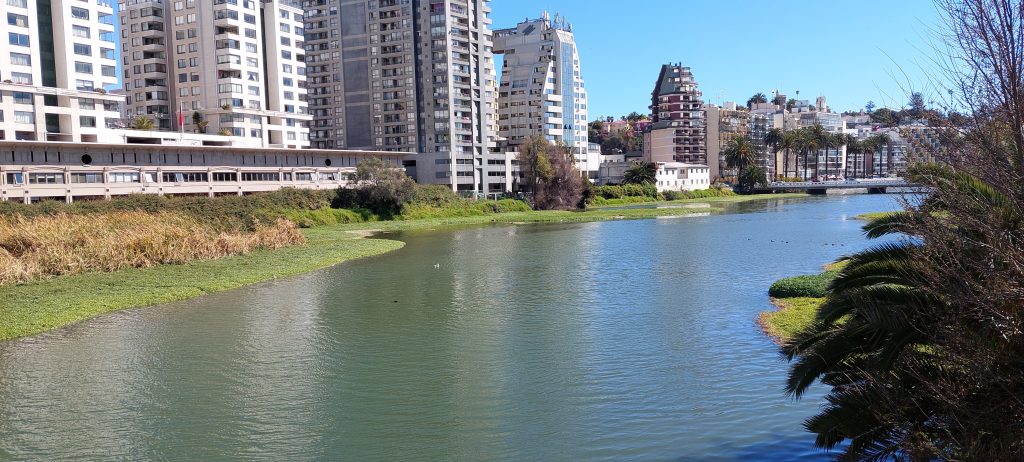 Imagen principal: Municipio de Viña del Mar iniciará trabajo en plan maestro para convertir el Estero Marga Marga en un parque urbano junto a la PUCV
