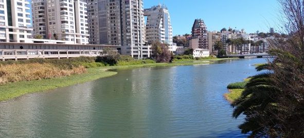 Municipio de Viña del Mar iniciará trabajo en plan maestro para convertir el Estero Marga Marga en un parque urbano junto a la PUCV