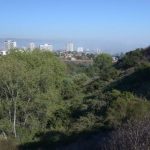 Declaran admisible solicitud hecha por Municipio de Viña junto a la comunidad para declarar Borinquen humedal urbano