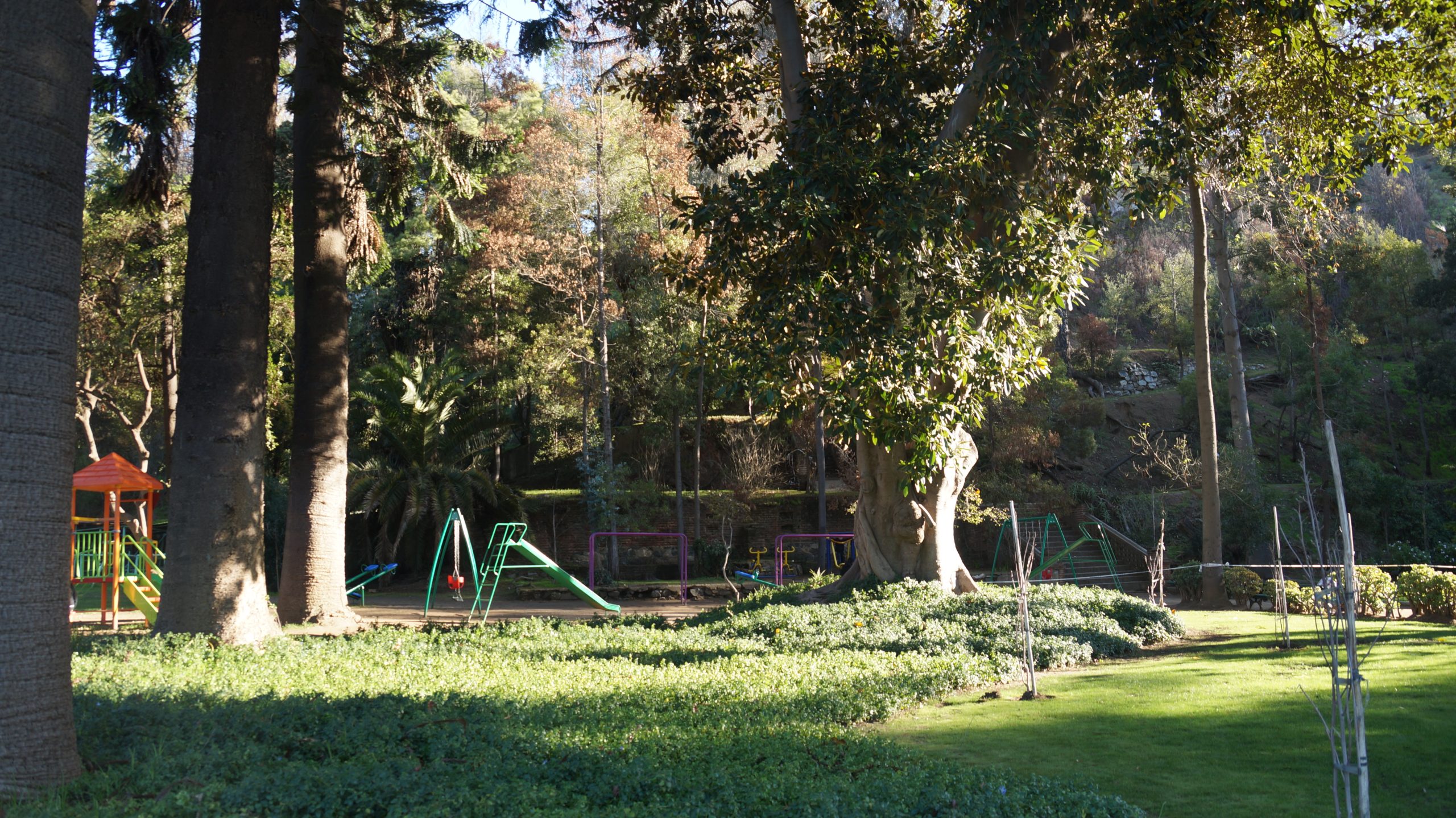 PARQUE QUINTA VERGARA 2