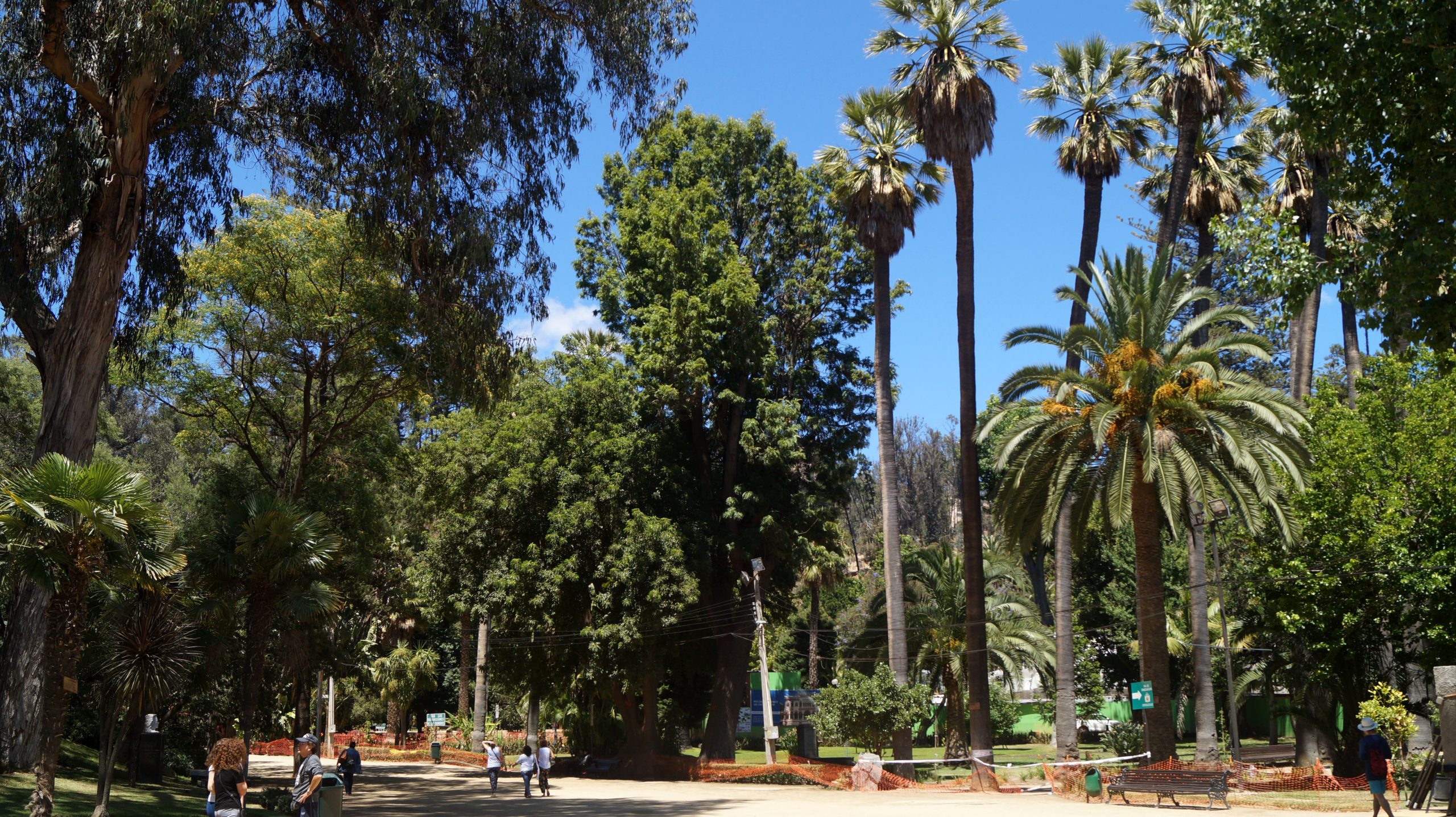 PARQUE QUINTA VERGARA 3