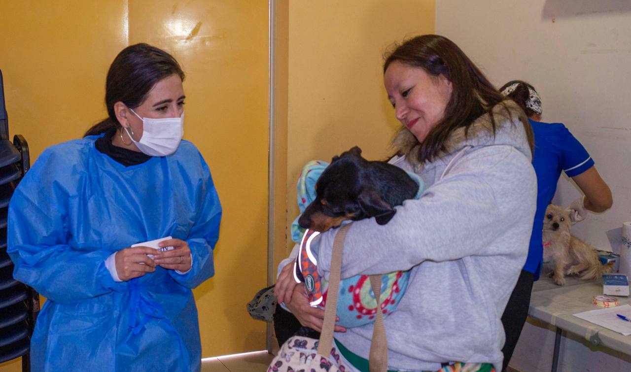 esterilización 1