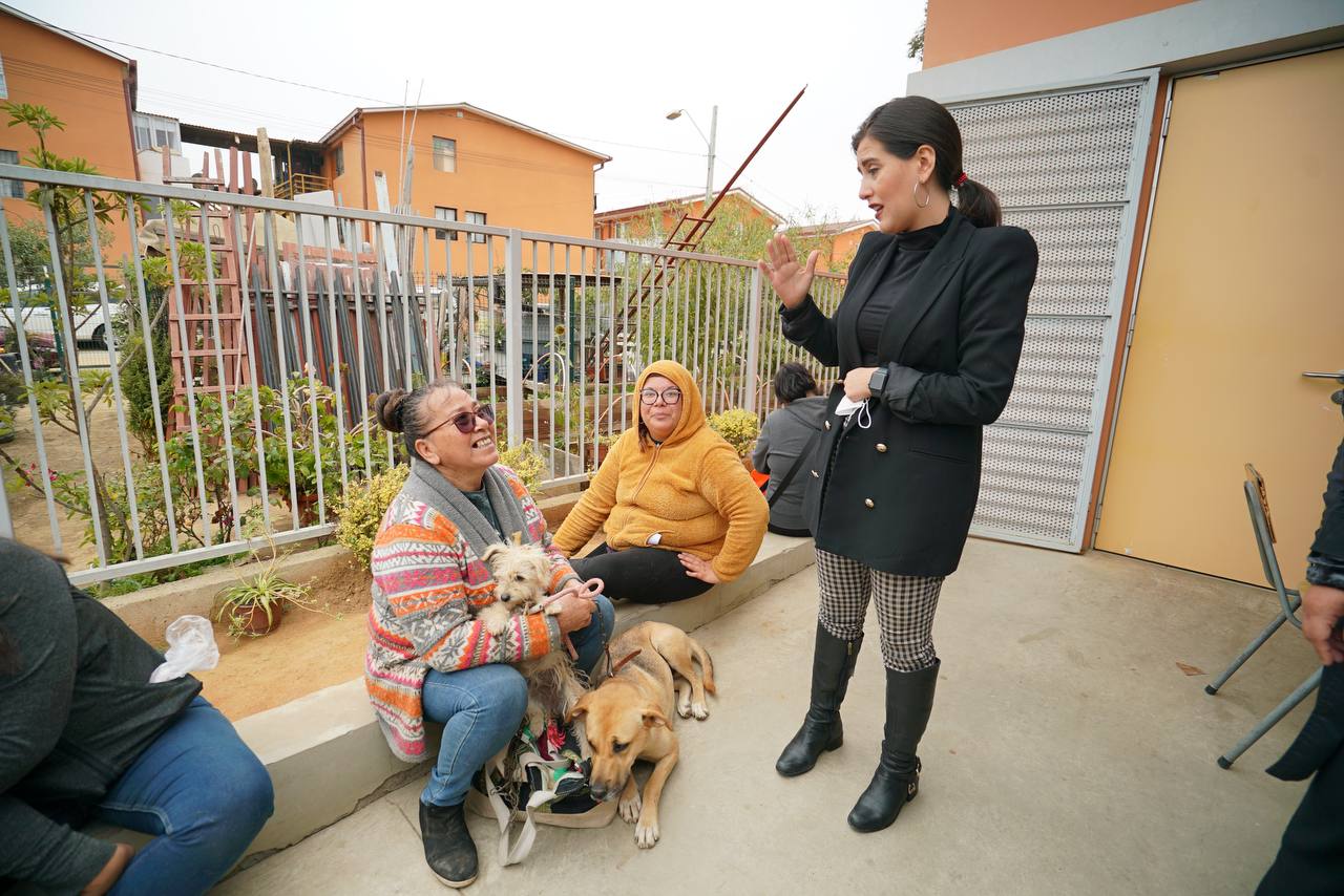 esterilización 2