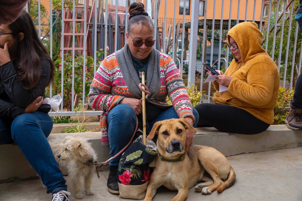 esterilización 3