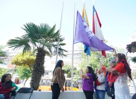 Con el izamiento de la bandera morada, municipio de Viña del Mar inició conmemoración del Mes de la Mujer