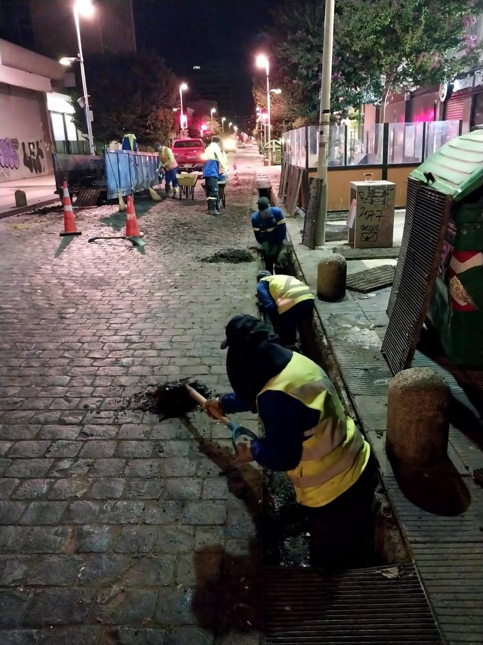 limpieza canaletas 1