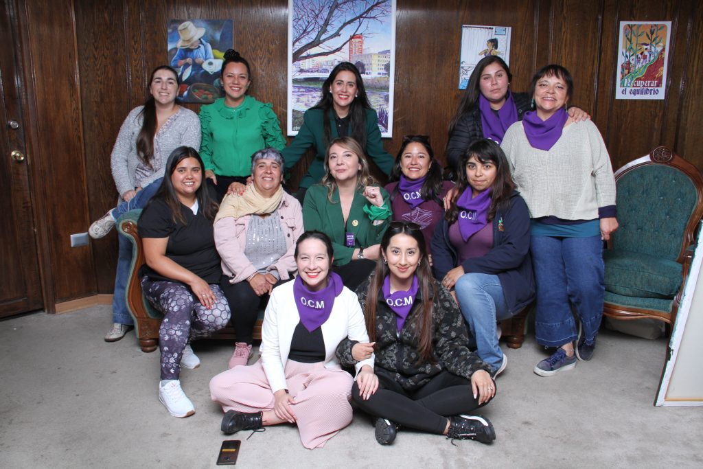 Imagen principal: Municipio de Viña del Mar aprueba ordenanza para prevenir y sancionar la violencia de género y el hostigamiento contra las personas 