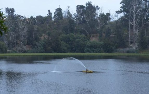 Municipio de Viña del Mar avanza con trabajos de limpieza de laguna Sausalito