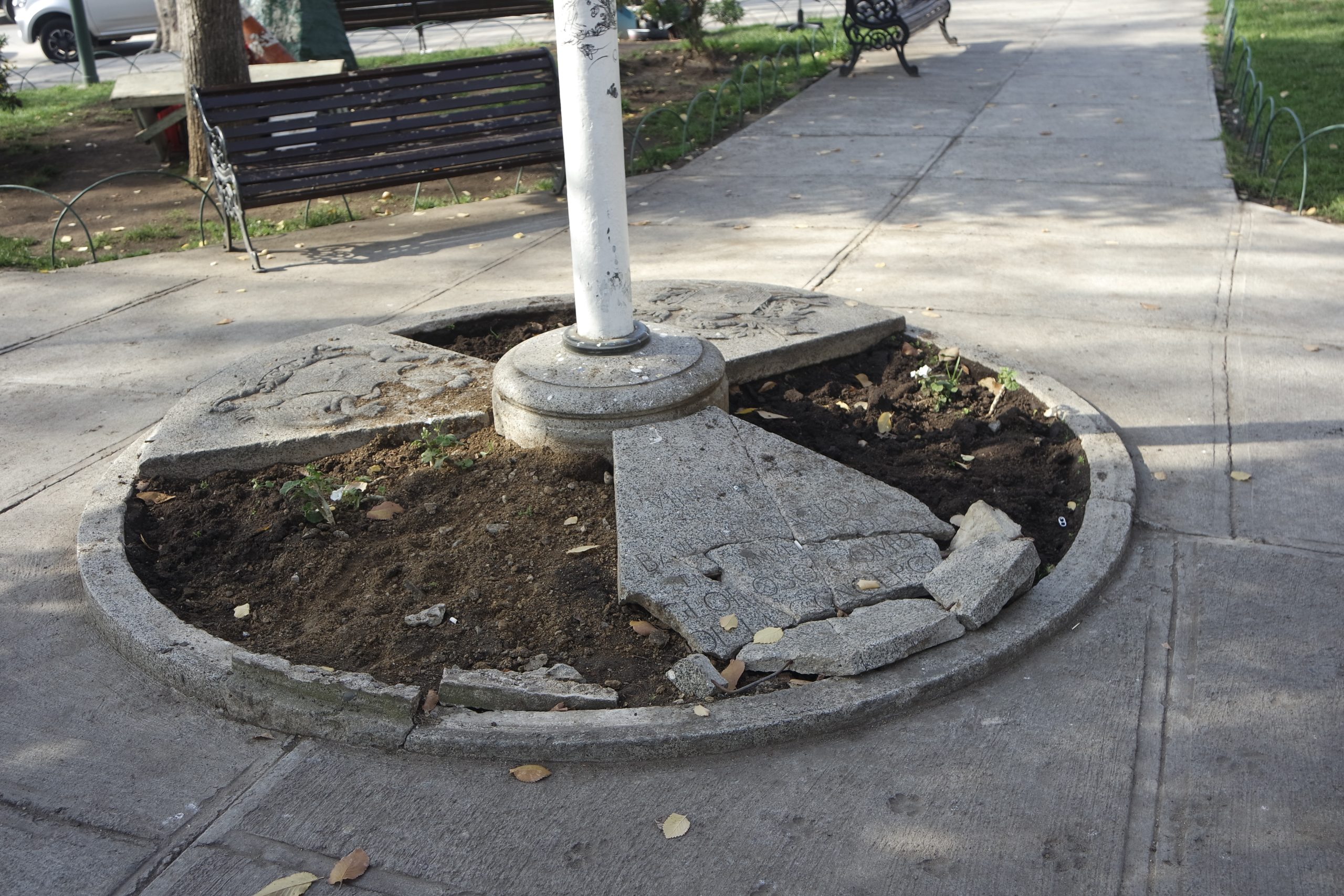 Centro Plaza de Forestal