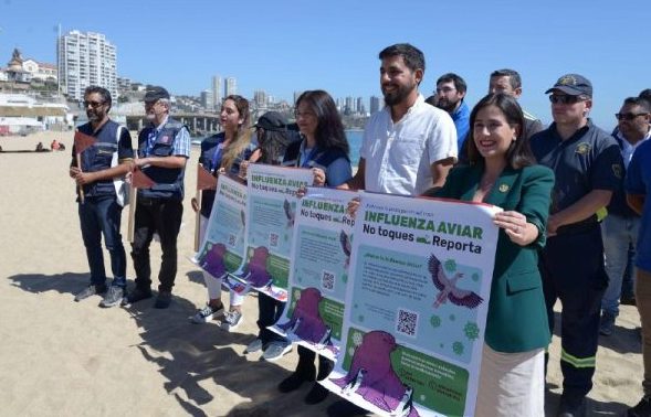 Municipio coordina y refuerza vigilancia activa ante casos de gripe aviar para cuidar a la comunidad usuaria de playas de cara a fin de semana largo