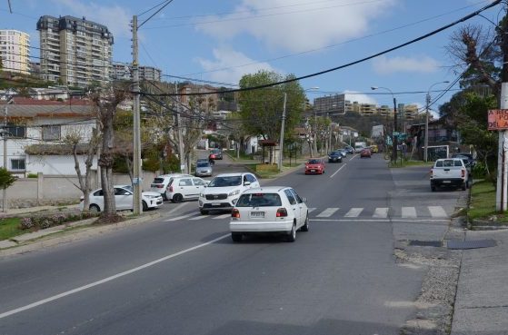 Para aumentar seguridad vial, municipio de Viña del Mar instalará semáforo peatonal en peligroso cruce de Agua Santa