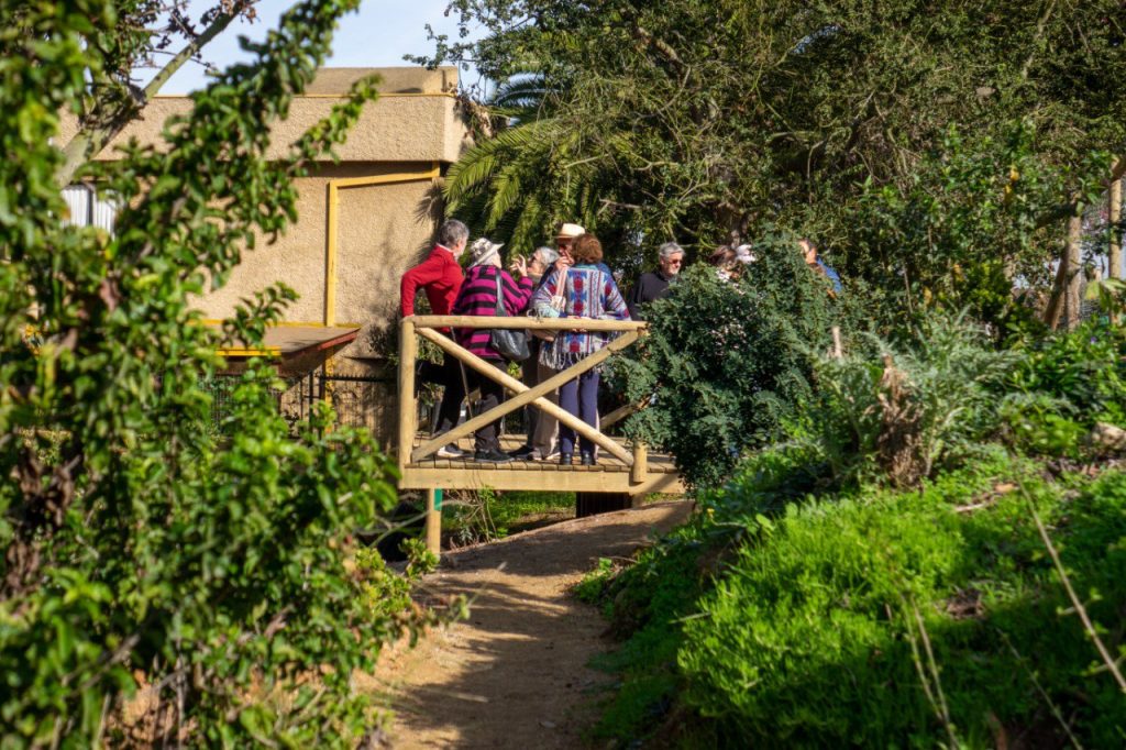 Imagen principal: Culminan obras que permitieron recuperar y mejorar el Parque Natural Los Almendros en Reñaca