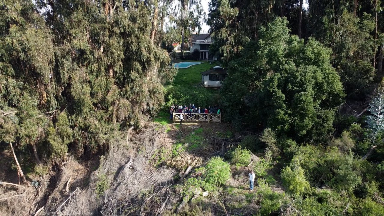 PARQUE LOS ALMENDROS 4