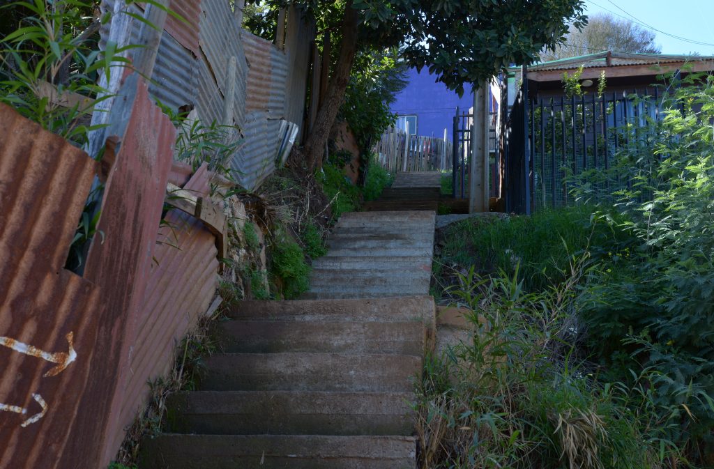 Imagen principal: Municipio de Viña del Mar aprueba adjudicación para dotar de iluminación a sectores de La Parva en Achupallas