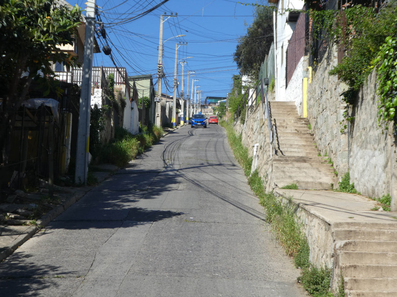 Los Aromos - El Boldo 2