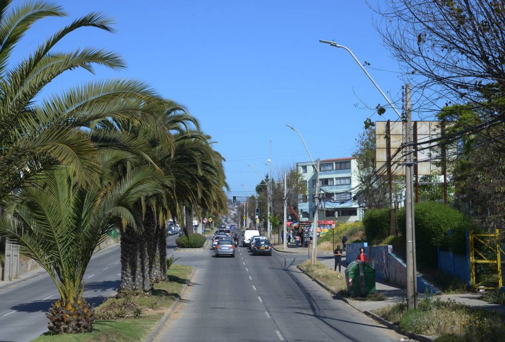 Imagen principal: Municipio de Viña del Mar avanza con  instalación de más de 700 luces led en Gómez Carreño