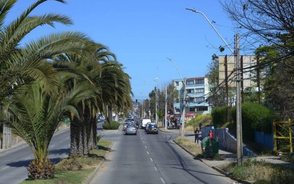 Municipio de Viña del Mar avanza con  instalación de más de 700 luces led en Gómez Carreño