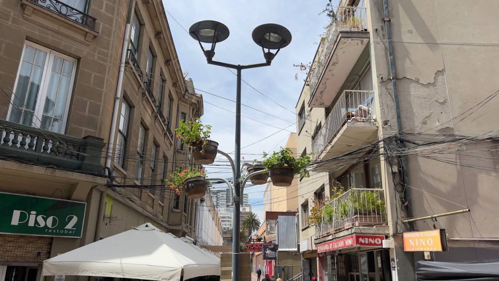 Imagen principal: Municipio de Viña del Mar inicia licitación para mejorar luminarias en Paseo Cousiño