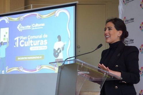 Viña del Mar tendrá el Primer Plan Comunal de Culturas con participación de la comunidad
