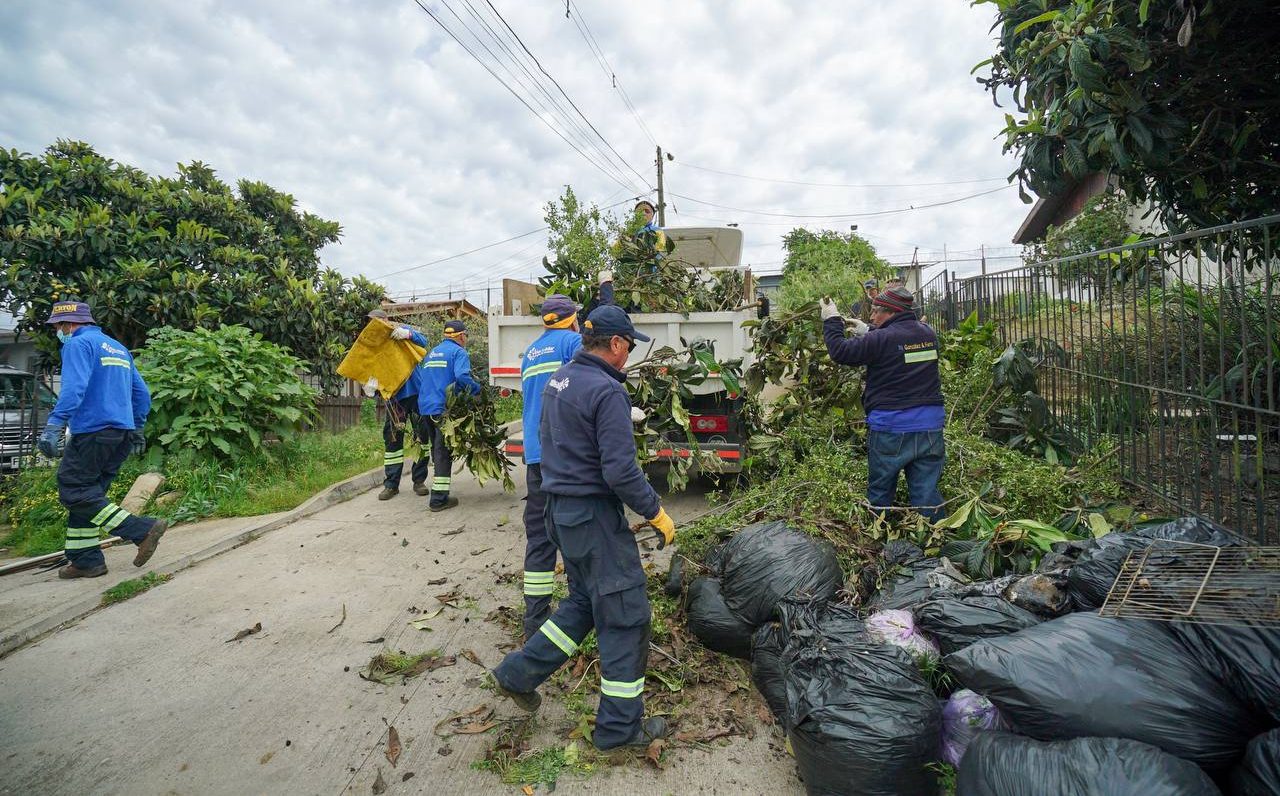 Municipio de Viña del Mar intensifica labor preventiva de construcción de cortafuegos y desmalezamiento 