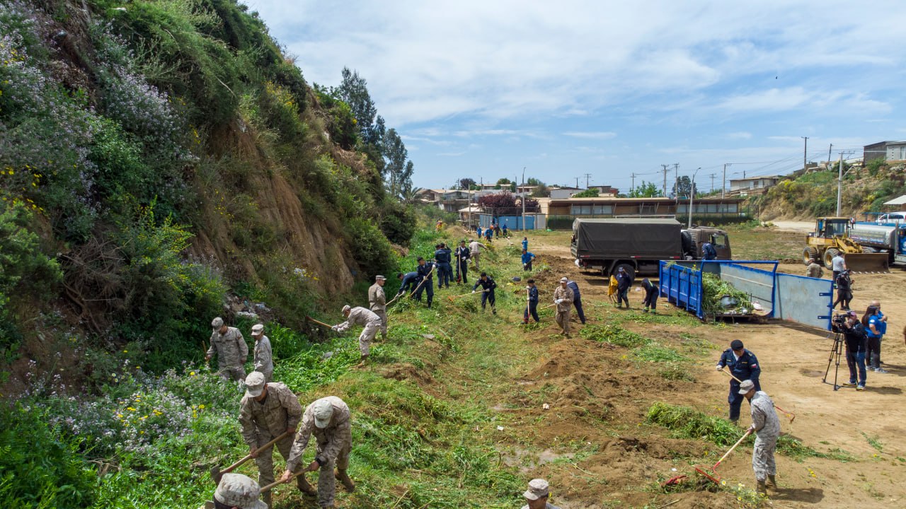 desmalezmiento FFAA 3