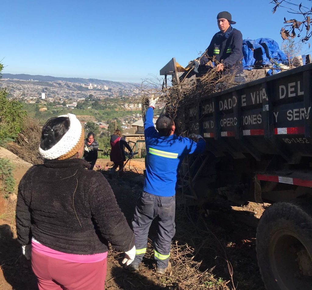 Imagen principal: Municipio de Viña del Mar ejecuta operativos de mejoramiento urbano en barrios y plan de la ciudad